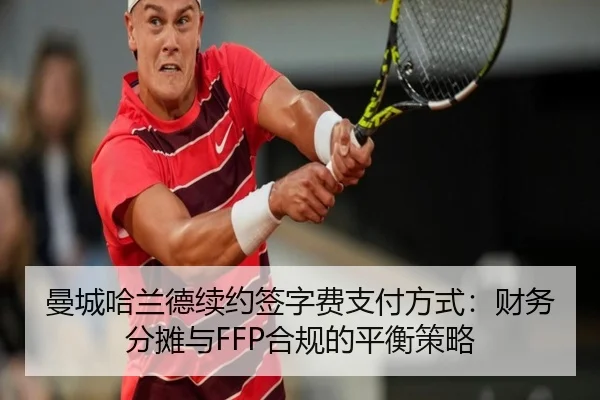 man-cheng-ha-lan-de-xu-yue-qian-zi-fei-zhi-fu-fang-shi-cai-wu-fen-tan-yu-he-gui-de-ping-heng-ce-lve-3-824.jpg